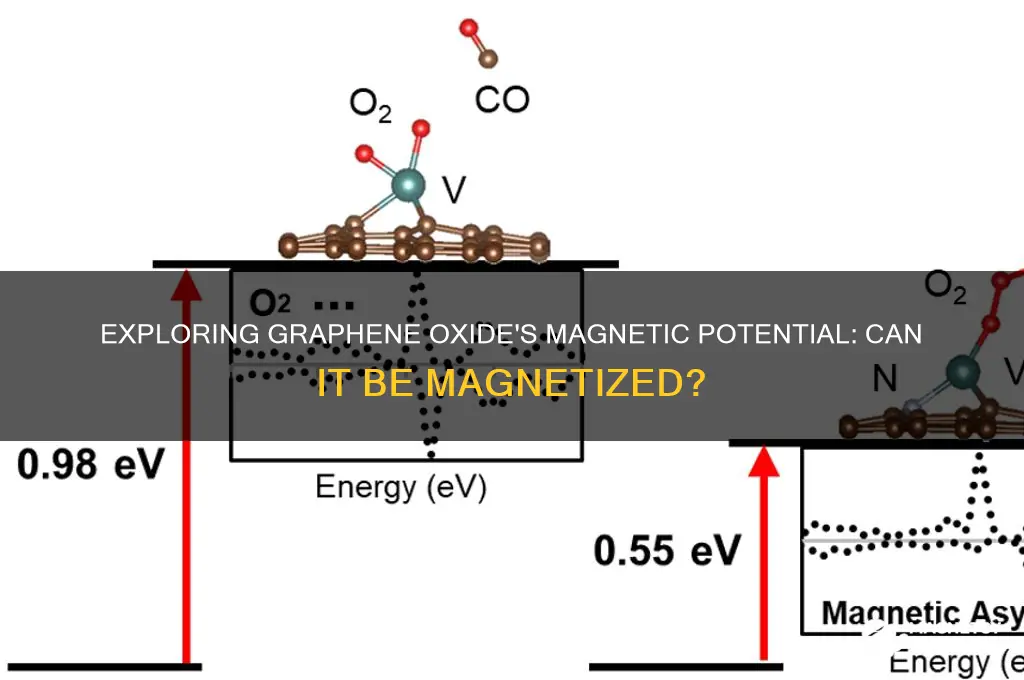 can graphene oxide be magnetized