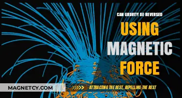 Reversing Gravity: Exploring Magnetic Force as a Potential Countermeasure