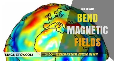 Gravity's Influence: Can It Bend Magnetic Fields in Space?