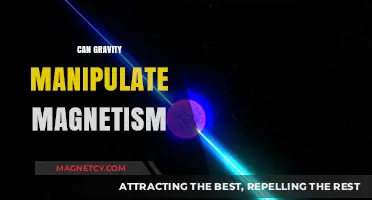 Gravity's Influence: Can It Manipulate Magnetic Fields and Forces?