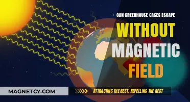 Exploring the Role of Magnetic Fields in Greenhouse Gas Containment