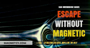 Greenhouse Gases and Earth's Magnetic Field: Can They Escape?