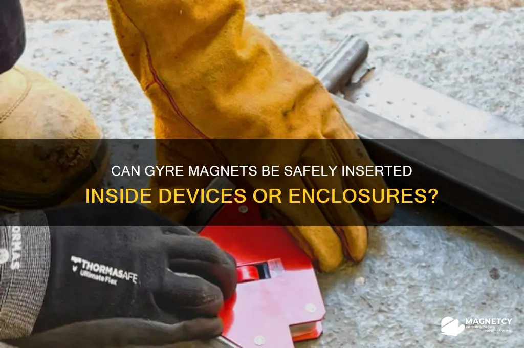 can gyre magnet go inside
