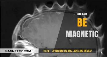 Can Hair Be Magnetic? Unraveling the Science Behind the Myth