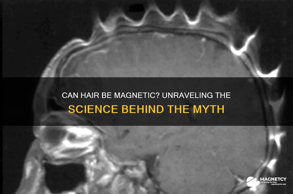 can hair be magnetic