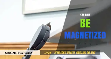 Can Hair Be Magnetized? Unraveling the Science Behind Magnetic Hair