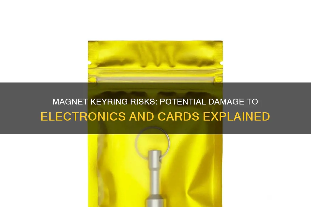 can having a magnet on your keyring damage