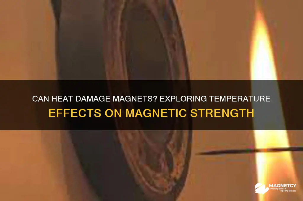 can heat damage magnets