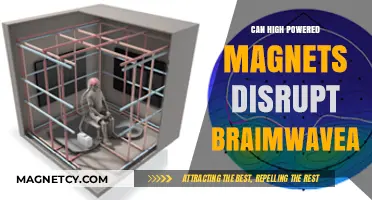 Do High-Powered Magnets Disrupt Brainwaves? Exploring the Science and Risks