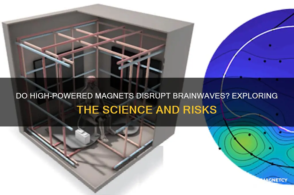 can high powered magnets disrupt braimwavea