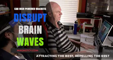 Do High-Powered Magnets Disrupt Brain Waves? Exploring the Science