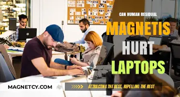 Can Human Residual Magnetism Damage Your Laptop? Facts Revealed