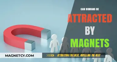 Magnetic Attraction: Exploring the Science Behind Humans and Magnets