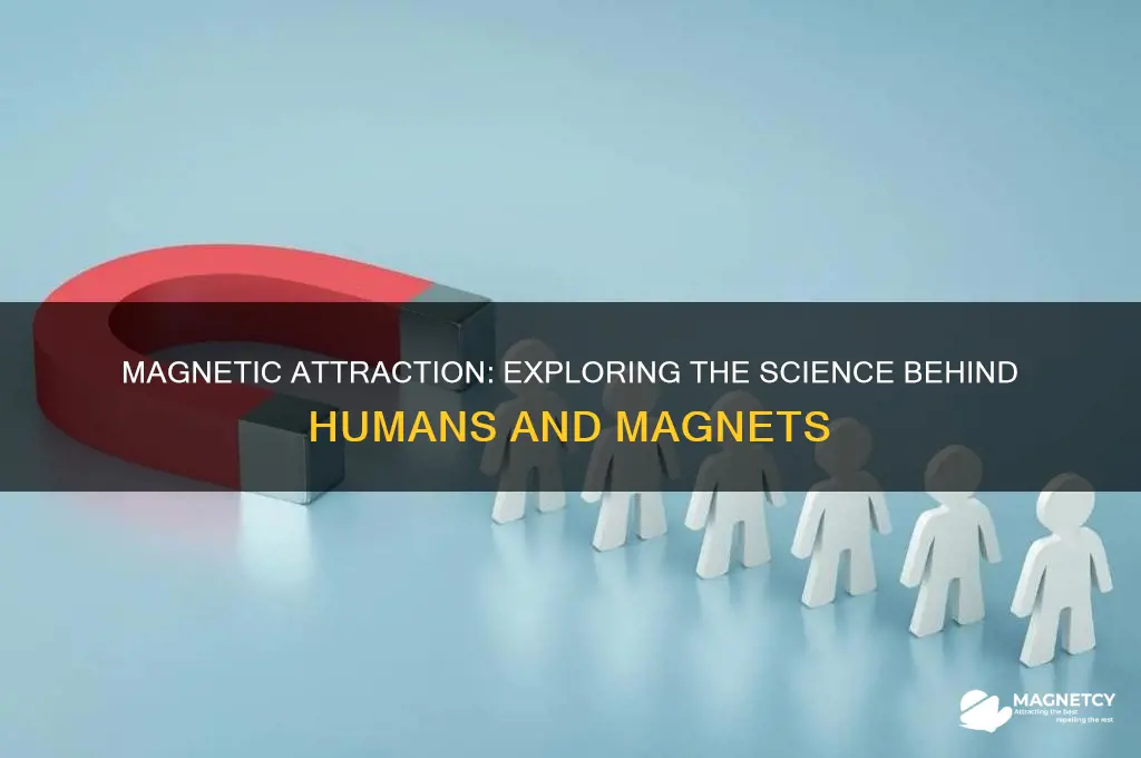 can humans be attracted by magnets
