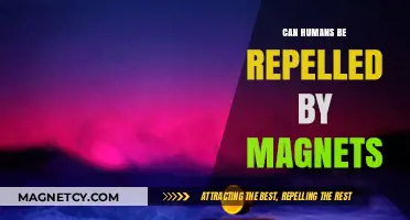 Magnetic Repulsion: Can Humans Be Affected by Magnetic Fields?