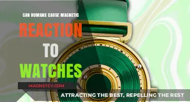 Human Impact: Can Our Bodies Cause Magnetic Reactions in Watches?