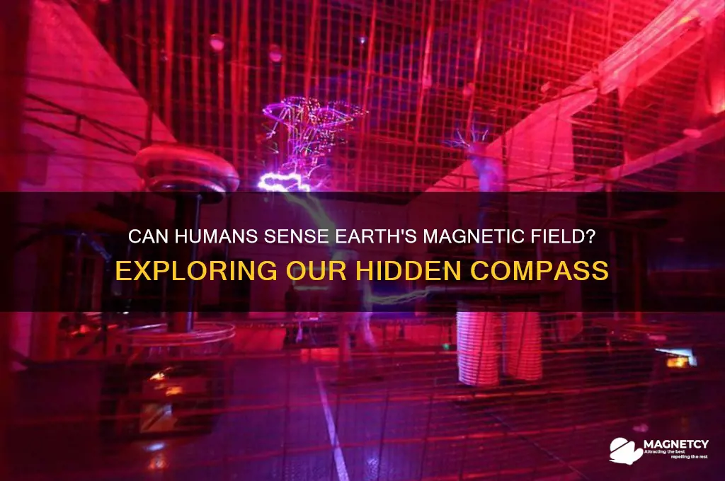 can humans feel a magnetic