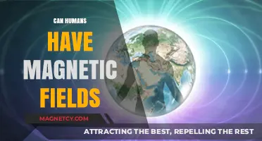 Exploring the Science: Do Humans Generate Their Own Magnetic Fields?