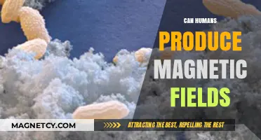 Can Humans Generate Magnetic Fields? Exploring the Science Behind Bio-Magnetism