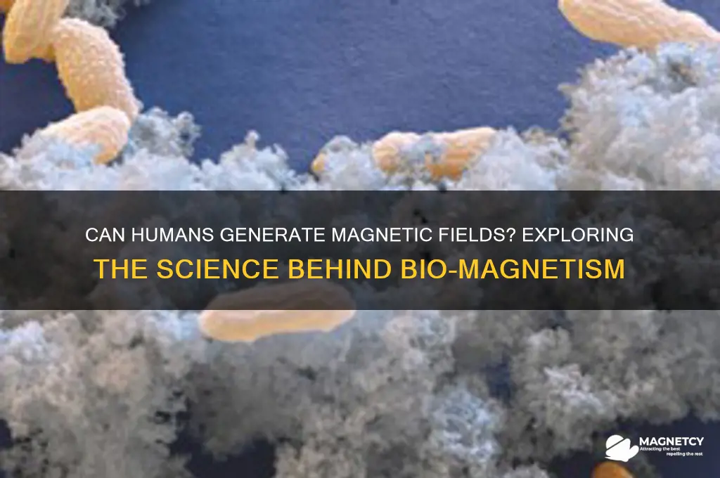 can humans produce magnetic fields