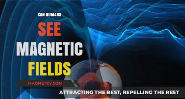 Can Humans See Magnetic Fields? Unveiling the Invisible Forces Around Us