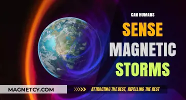 Can Humans Detect Magnetic Storms? Exploring Our Sixth Sense