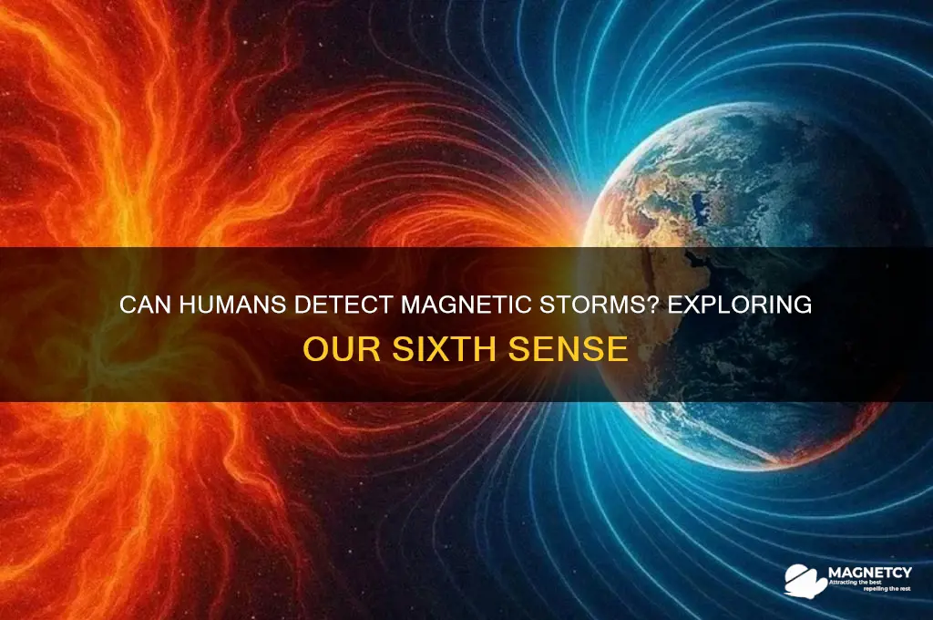 can humans sense magnetic storms