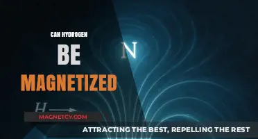 Can Hydrogen Be Magnetized? Exploring Its Magnetic Properties and Potential