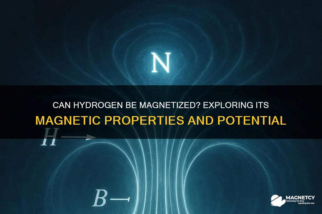 can hydrogen be magnetized