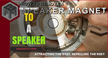 Can You Add a Magnet to a Speaker? Exploring DIY Enhancements