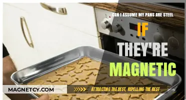 Magnetic Pans: Are They Always Steel? Uncovering the Truth