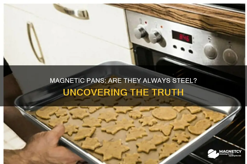 can i assume my pans are steel if they