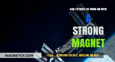 Magnetic Oxygen Extraction: Can Strong Magnets Attract O2 from Air?