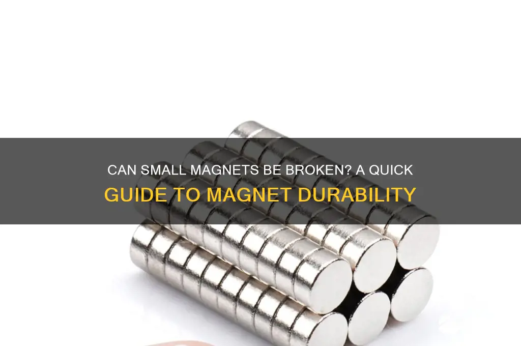 can i break a small magnet