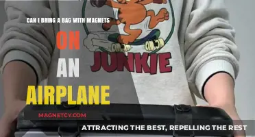 Magnetic Bags on Flights: Are They Allowed? Travel Tips Revealed