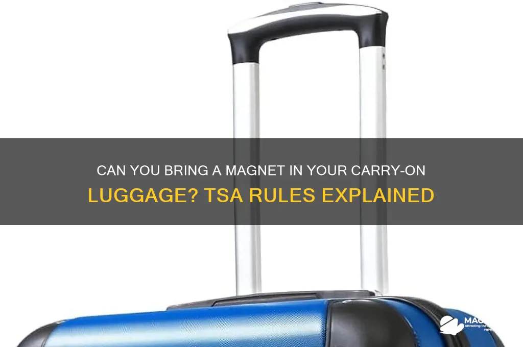 can i bring a magnet in my carry on