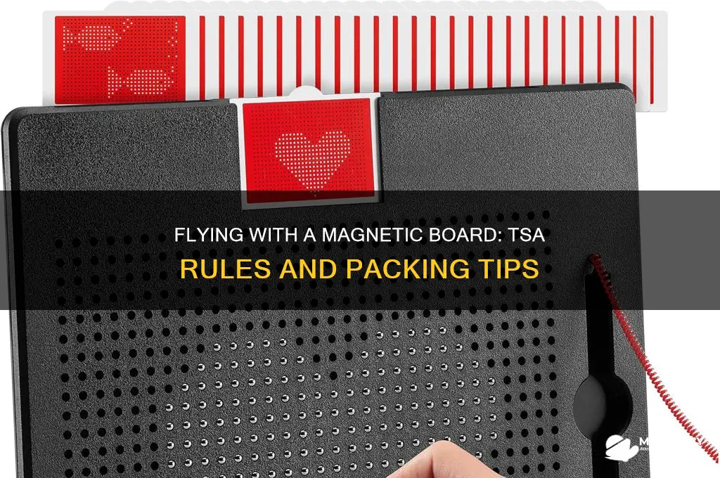 can i bring a magnetic board on a plane