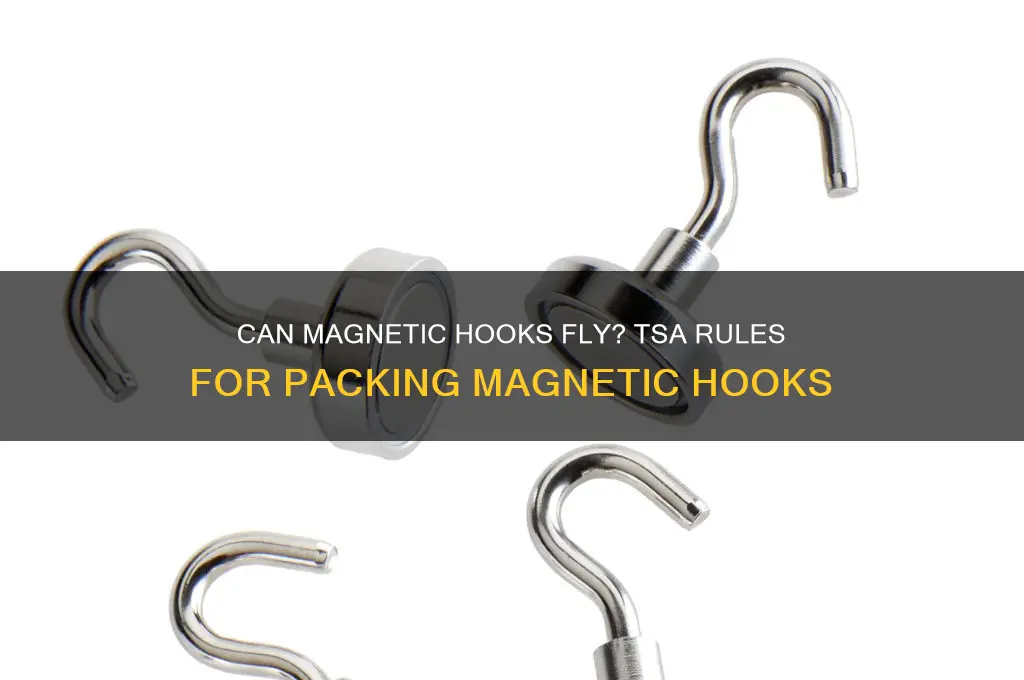 can i bring magnetic hooks on plane