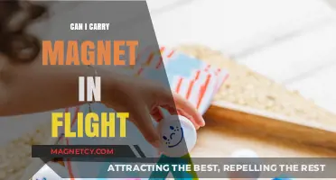 Can You Carry Magnets on a Flight? TSA Rules Explained