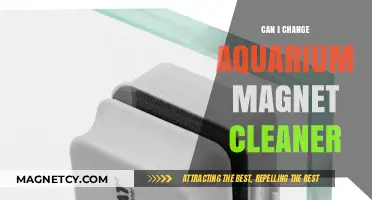 How to Upgrade or Replace Your Aquarium Magnet Cleaner Easily