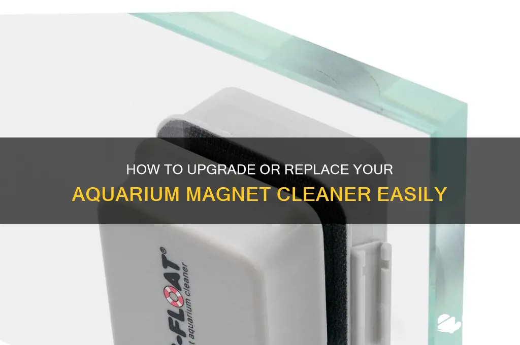 can i change aquarium magnet cleaner