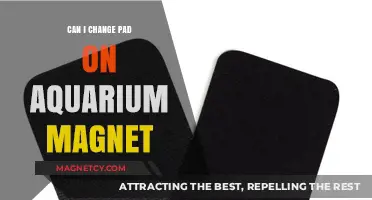 How to Easily Replace the Pad on Your Aquarium Magnet Cleaner