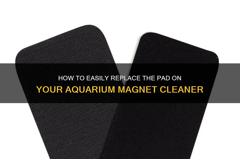 can i change pad on aquarium magnet