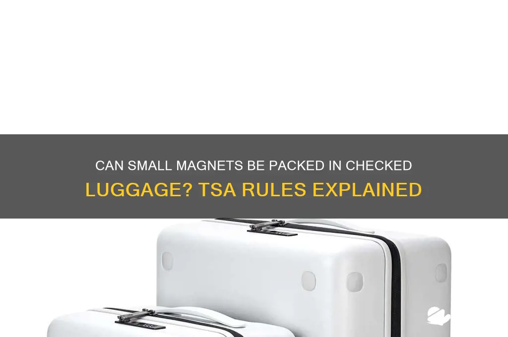 can i check a small magnet item with the laggage