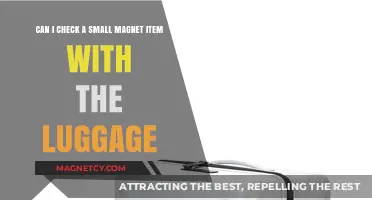 Can Small Magnets Be Packed in Checked Luggage? TSA Rules Explained