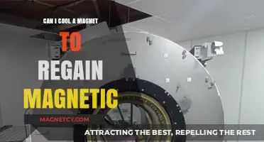 Cooling Magnets: Can Lower Temperatures Restore Lost Magnetic Properties?