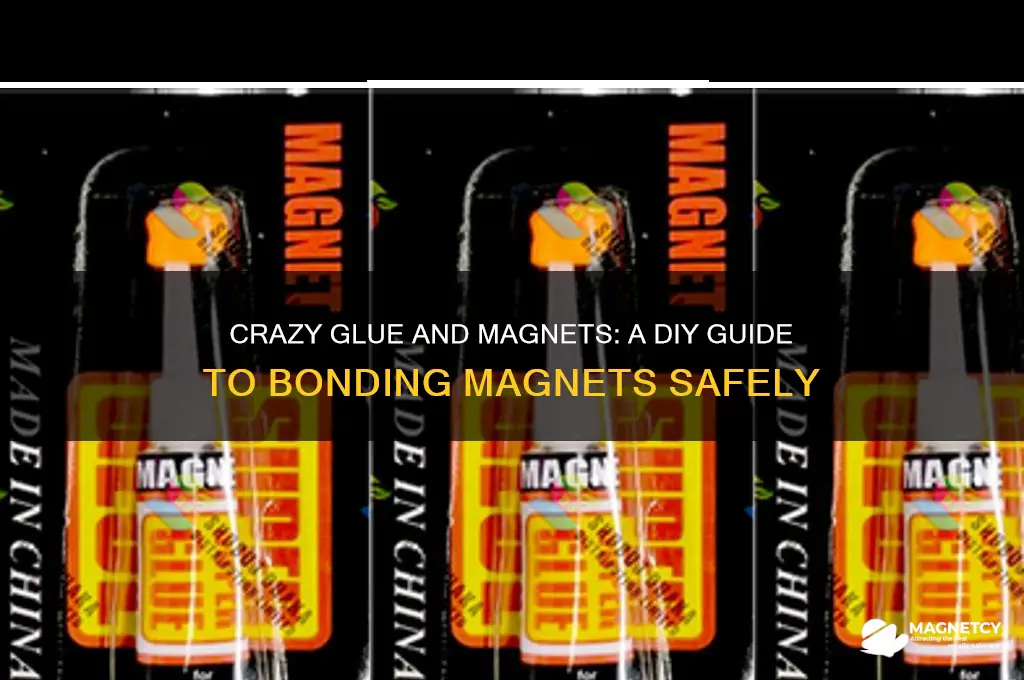 can i crazy glue a magnet