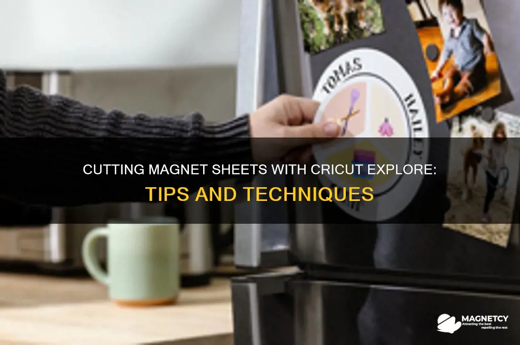 can i cut magnet sheet with cricut explore