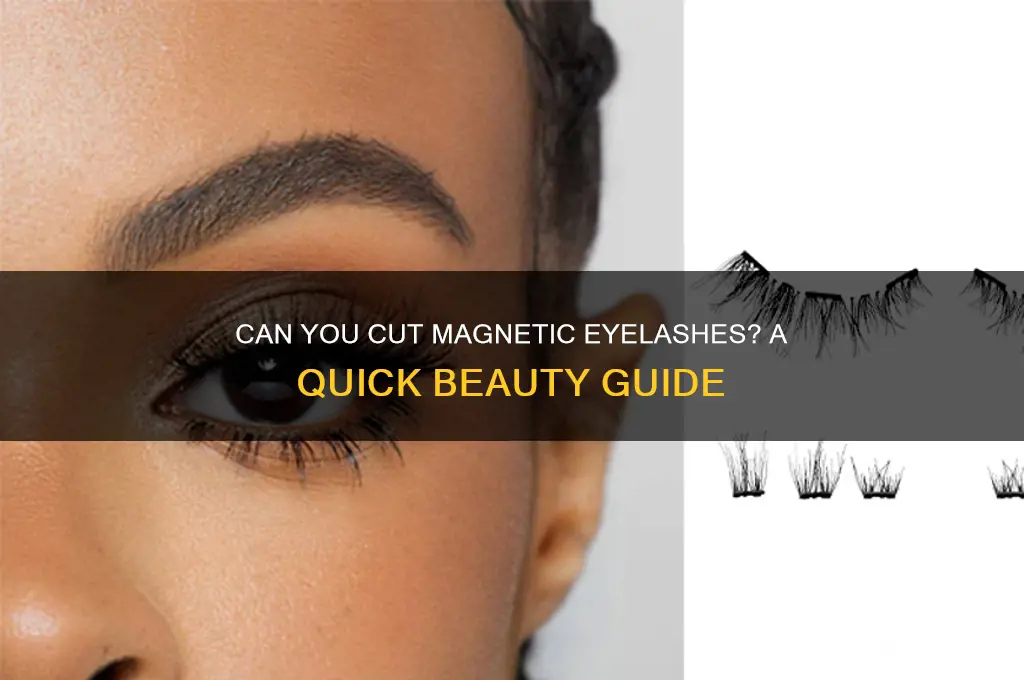 can i cut magnetic eyelashes
