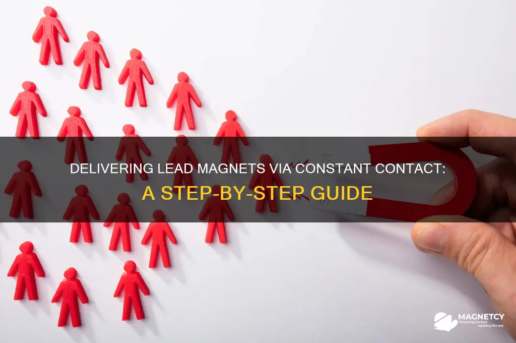 can i deliver a lead magnet from constant contact